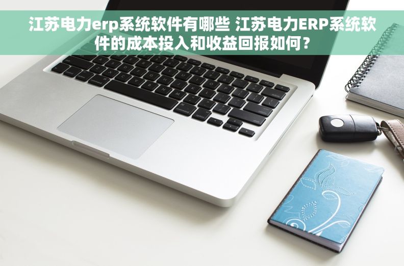 江苏电力erp系统软件有哪些 江苏电力ERP系统软件的成本投入和收益回报如何？