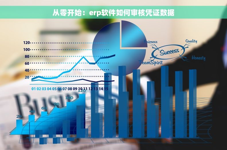 从零开始：erp软件如何审核凭证数据