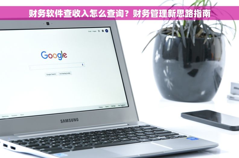 财务软件查收入怎么查询？财务管理新思路指南