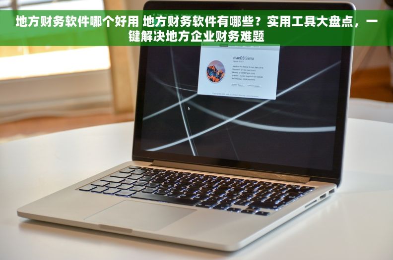 地方财务软件哪个好用 地方财务软件有哪些？实用工具大盘点，一键解决地方企业财务难题