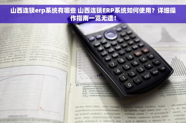 山西连锁erp系统有哪些 山西连锁ERP系统如何使用？详细操作指南一览无遗！