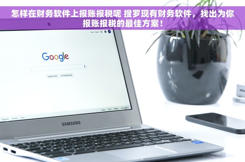 怎样在财务软件上报账报税呢 搜罗现有财务软件，找出为你报账报税的最佳方案！