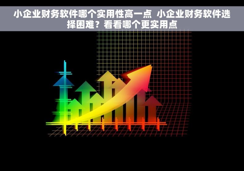 小企业财务软件哪个实用性高一点  小企业财务软件选择困难？看看哪个更实用点