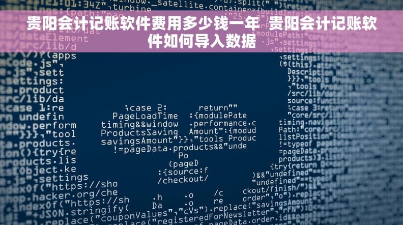 贵阳会计记账软件费用多少钱一年  贵阳会计记账软件如何导入数据