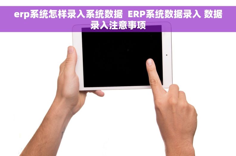 erp系统怎样录入系统数据  ERP系统数据录入 数据录入注意事项