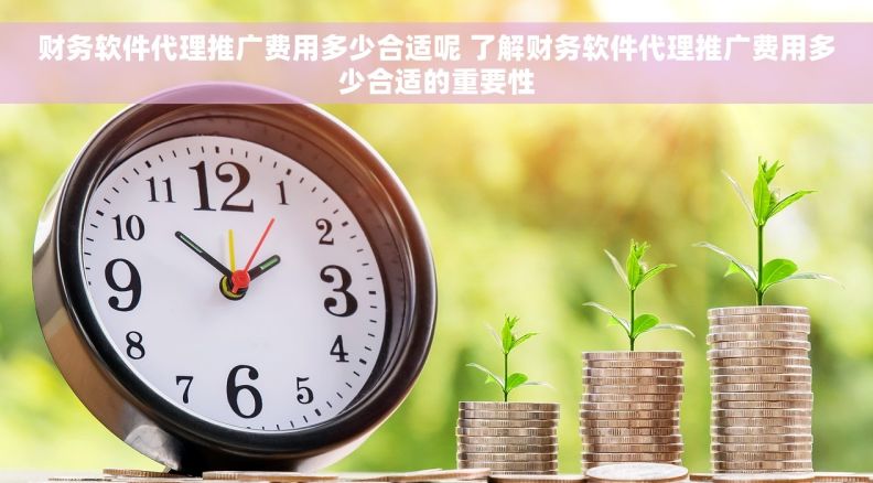 财务软件代理推广费用多少合适呢 了解财务软件代理推广费用多少合适的重要性