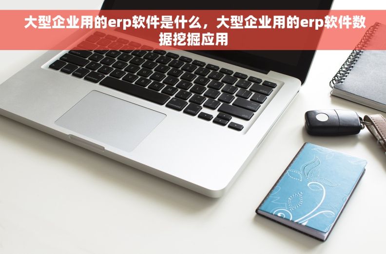  大型企业用的erp软件是什么，大型企业用的erp软件数据挖掘应用