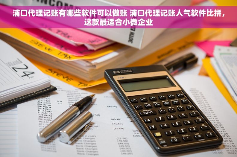 浦口代理记账有哪些软件可以做账 浦口代理记账人气软件比拼，这款最适合小微企业