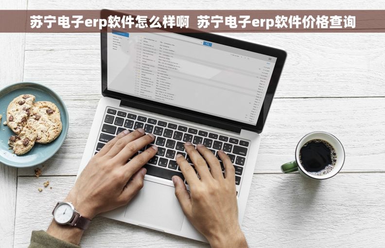 苏宁电子erp软件怎么样啊  苏宁电子erp软件价格查询