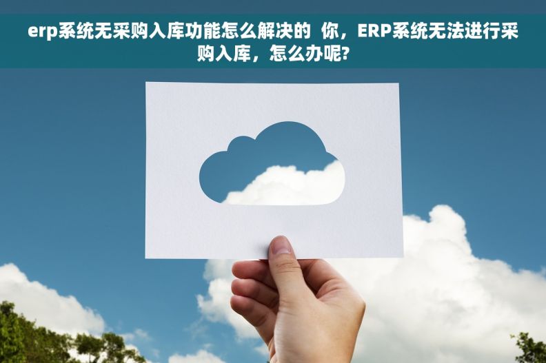 erp系统无采购入库功能怎么解决的  你，ERP系统无法进行采购入库，怎么办呢?