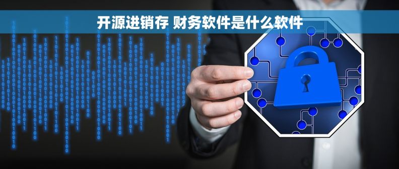 开源进销存 财务软件是什么软件