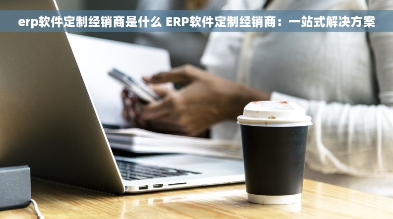 erp软件定制经销商是什么 ERP软件定制经销商：一站式解决方案