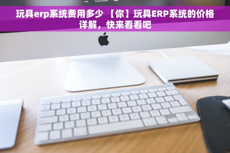 玩具erp系统费用多少 【你】玩具ERP系统的价格详解，快来看看吧