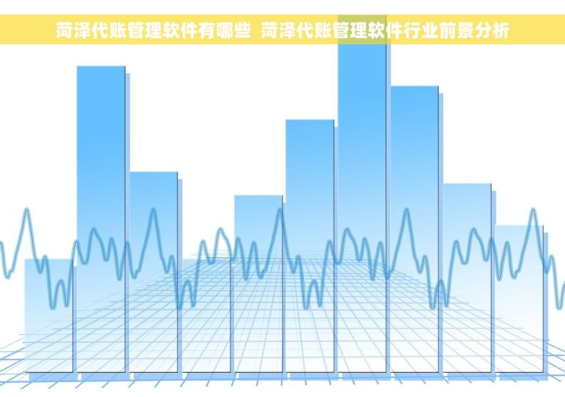 菏泽代账管理软件有哪些  菏泽代账管理软件行业前景分析