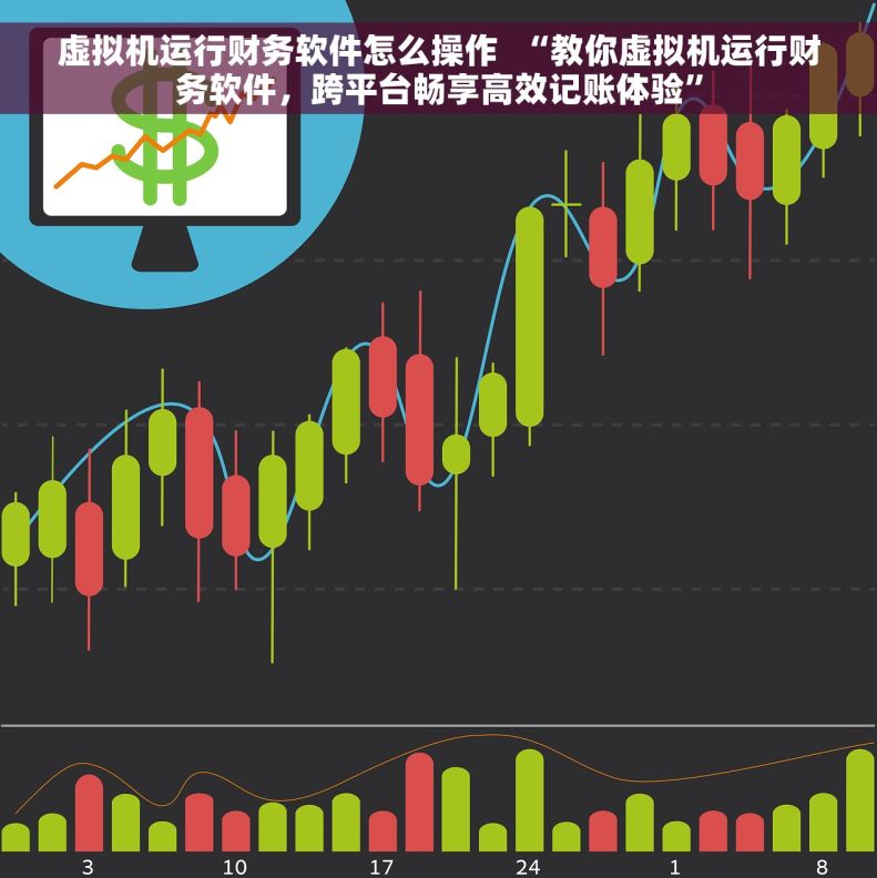 虚拟机运行财务软件怎么操作  “教你虚拟机运行财务软件，跨平台畅享高效记账体验”