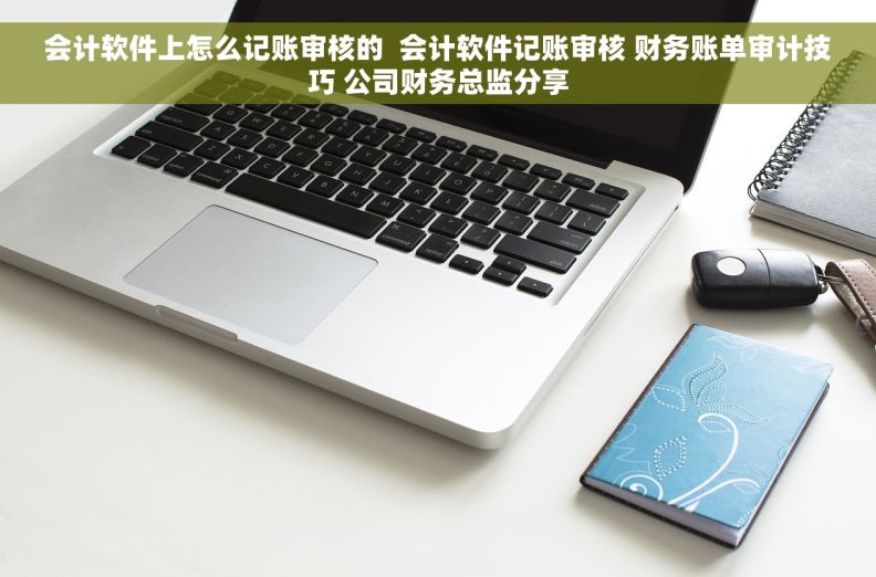 会计软件上怎么记账审核的  会计软件记账审核 财务账单审计技巧 公司财务总监分享