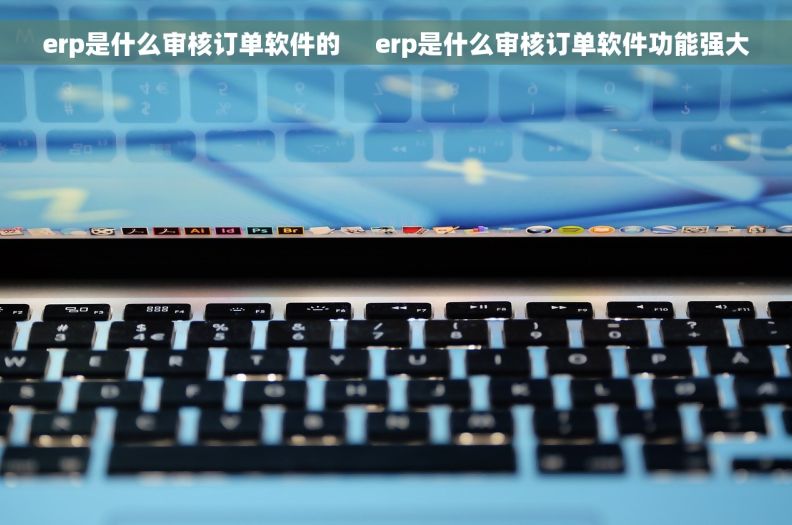 erp是什么审核订单软件的     erp是什么审核订单软件功能强大