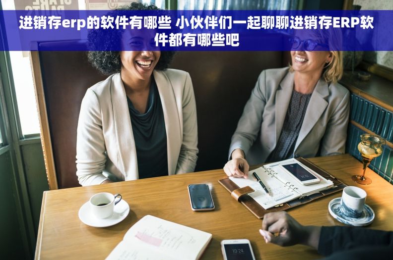 进销存erp的软件有哪些 小伙伴们一起聊聊进销存ERP软件都有哪些吧