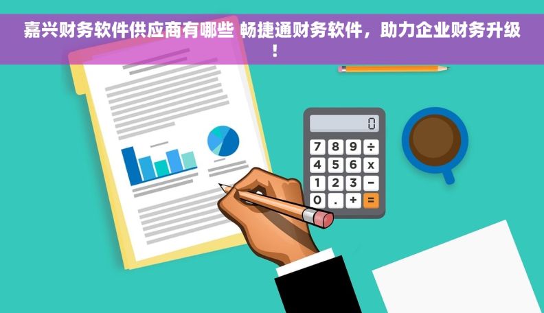 嘉兴财务软件供应商有哪些 畅捷通财务软件，助力企业财务升级！