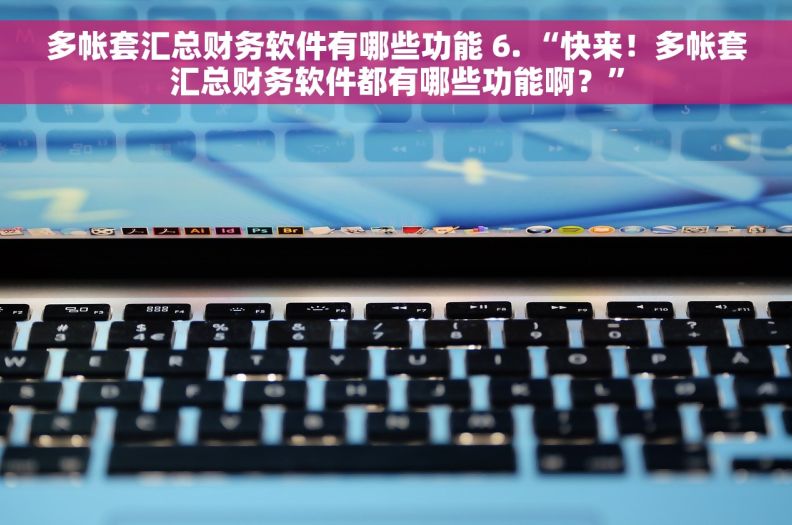 多帐套汇总财务软件有哪些功能 6. “快来！多帐套汇总财务软件都有哪些功能啊？”