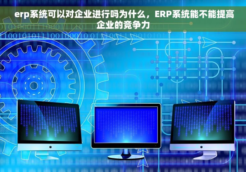  erp系统可以对企业进行吗为什么，ERP系统能不能提高企业的竞争力