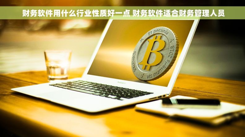  财务软件用什么行业性质好一点 财务软件适合财务管理人员