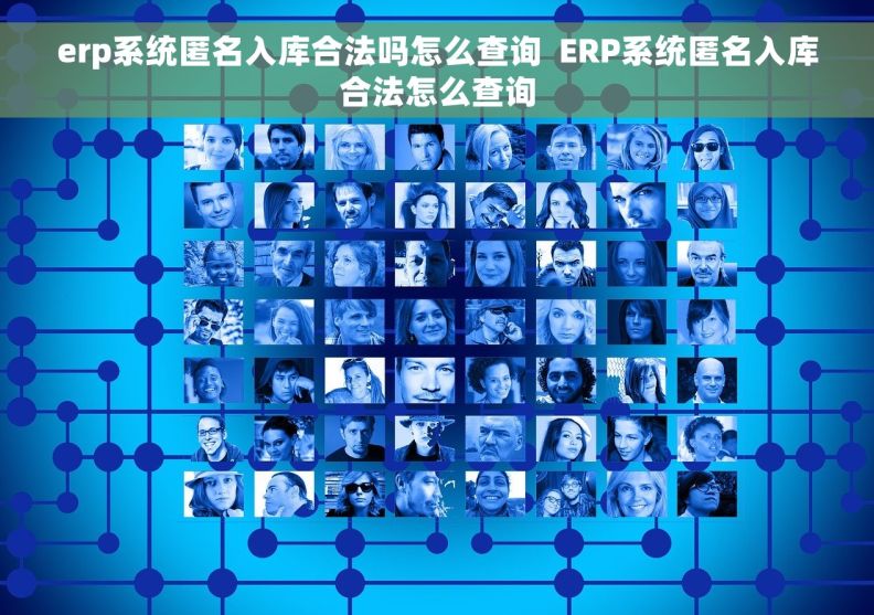 erp系统匿名入库合法吗怎么查询  ERP系统匿名入库合法怎么查询