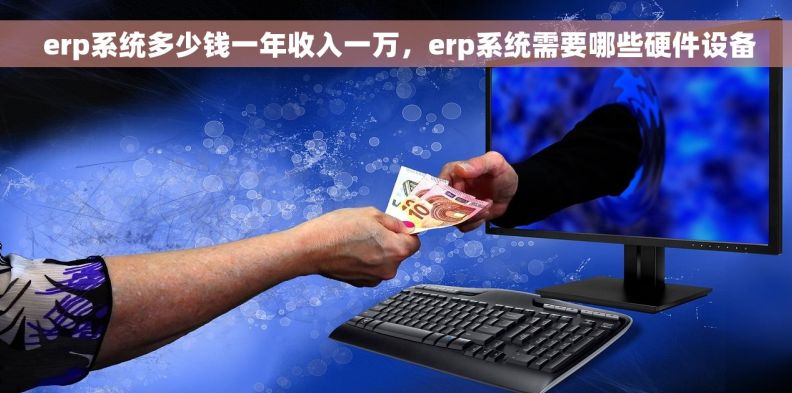  erp系统多少钱一年收入一万，erp系统需要哪些硬件设备