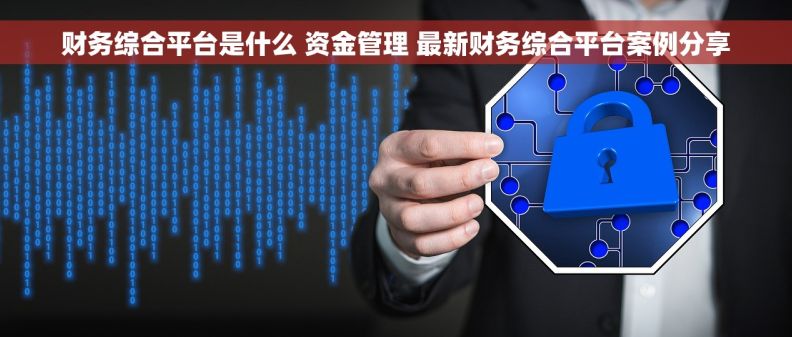 财务综合平台是什么 资金管理 最新财务综合平台案例分享