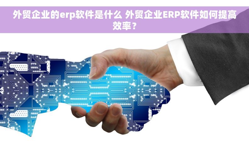 外贸企业的erp软件是什么 外贸企业ERP软件如何提高效率？