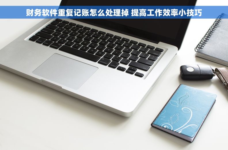 财务软件重复记账怎么处理掉 提高工作效率小技巧