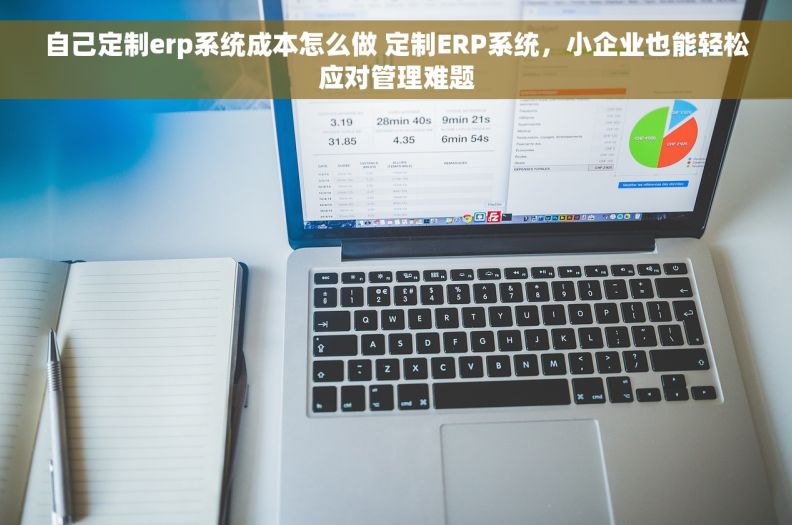 自己定制erp系统成本怎么做 定制ERP系统，小企业也能轻松应对管理难题