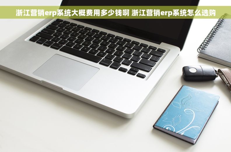 浙江营销erp系统大概费用多少钱啊 浙江营销erp系统怎么选购