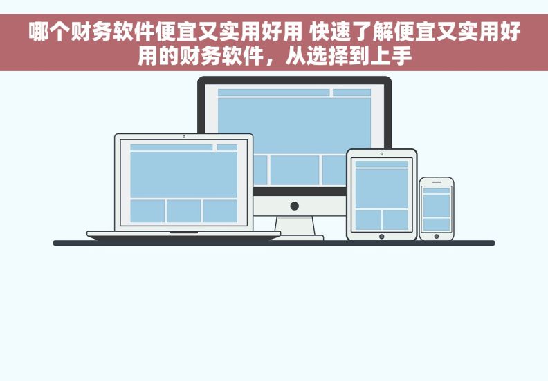 哪个财务软件便宜又实用好用 快速了解便宜又实用好用的财务软件，从选择到上手