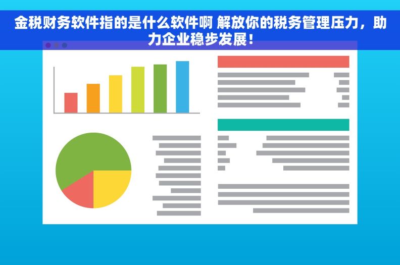 金税财务软件指的是什么软件啊 解放你的税务管理压力，助力企业稳步发展！