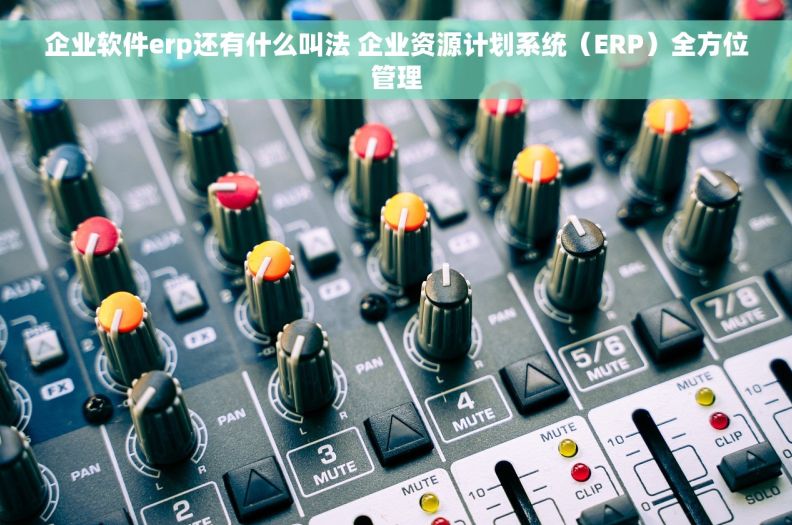 企业软件erp还有什么叫法 企业资源计划系统（ERP）全方位管理