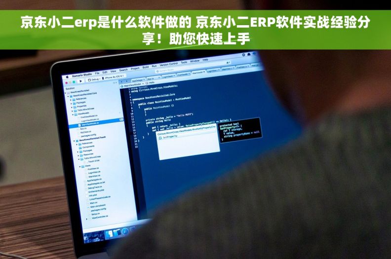 京东小二erp是什么软件做的 京东小二ERP软件实战经验分享！助您快速上手