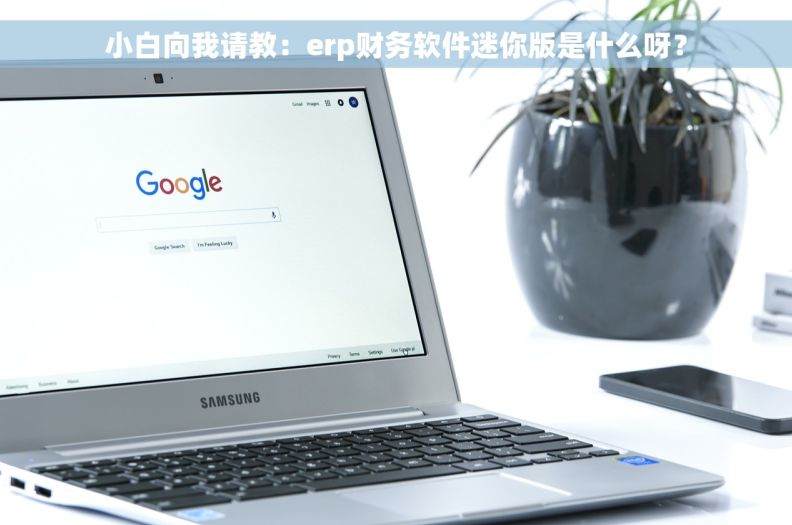 小白向我请教：erp财务软件迷你版是什么呀？