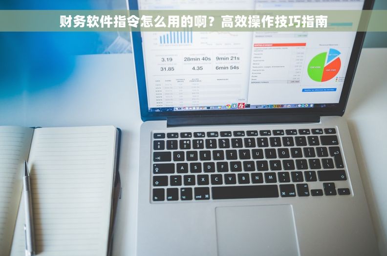 财务软件指令怎么用的啊？高效操作技巧指南