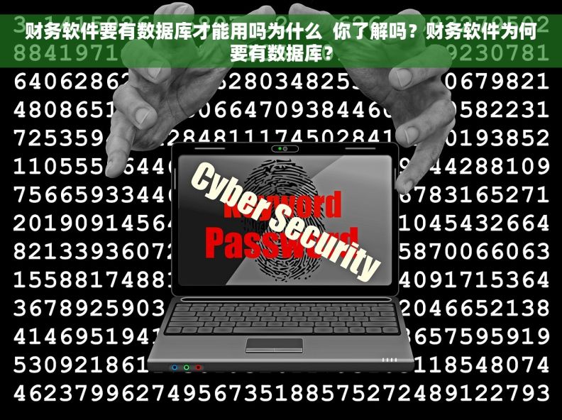 财务软件要有数据库才能用吗为什么  你了解吗？财务软件为何要有数据库？