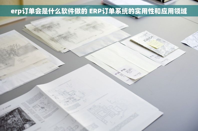 erp订单会是什么软件做的 ERP订单系统的实用性和应用领域