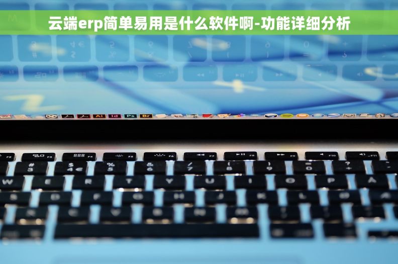 云端erp简单易用是什么软件啊-功能详细分析