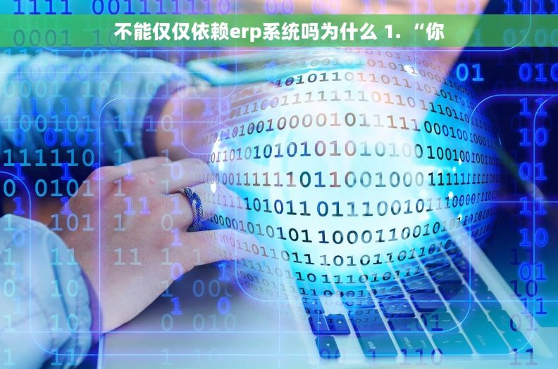 不能仅仅依赖erp系统吗为什么 1. “你