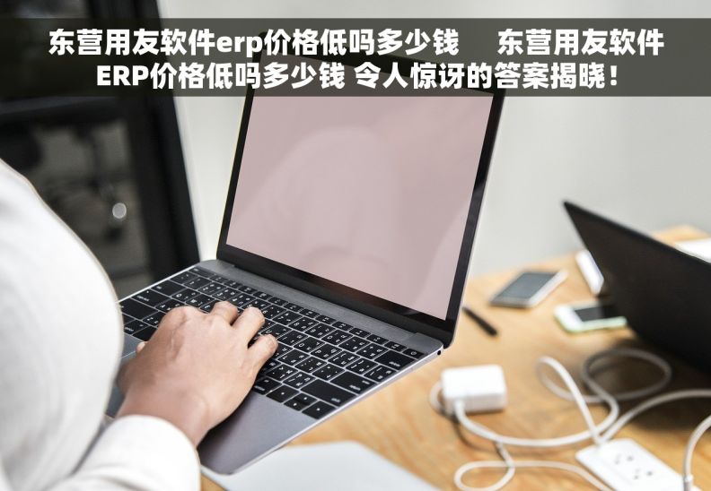 东营用友软件erp价格低吗多少钱     东营用友软件ERP价格低吗多少钱 令人惊讶的答案揭晓！