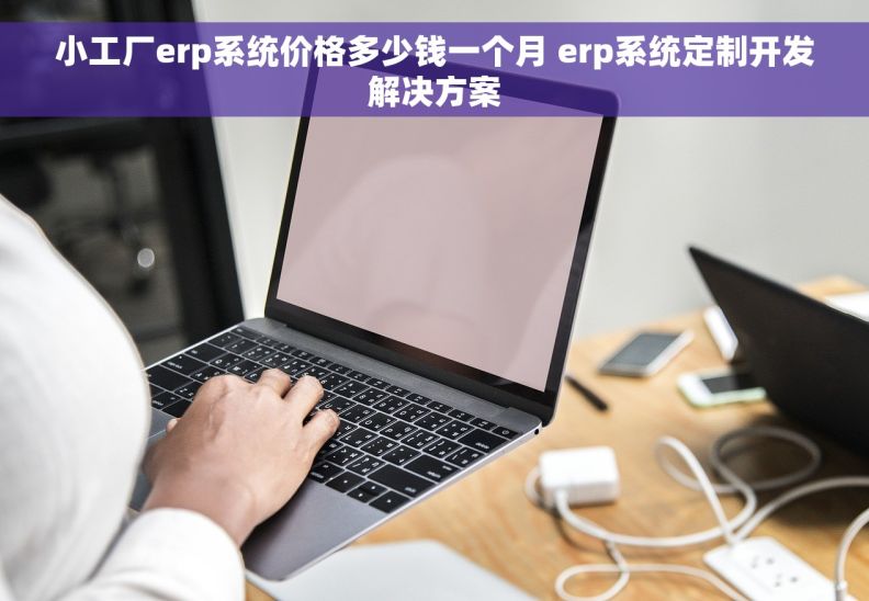 小工厂erp系统价格多少钱一个月 erp系统定制开发解决方案