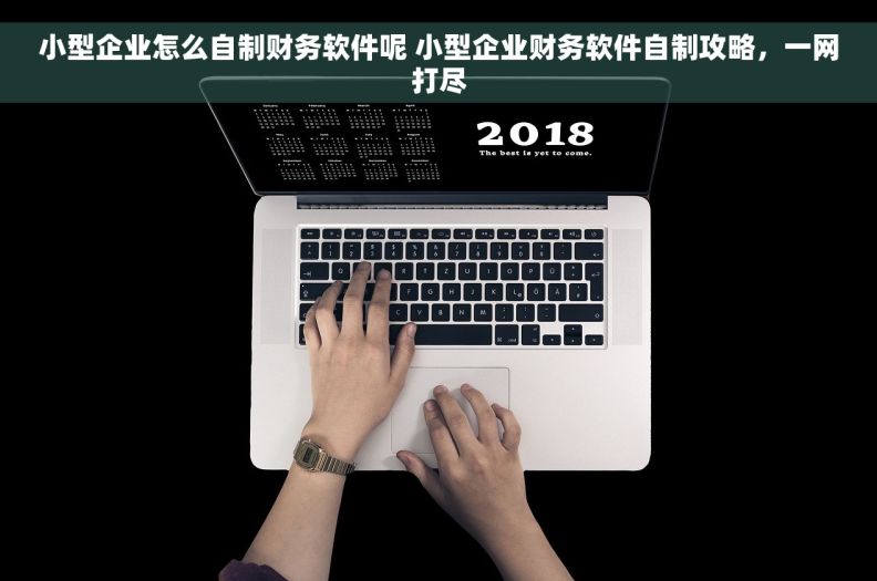 小型企业怎么自制财务软件呢 小型企业财务软件自制攻略，一网打尽