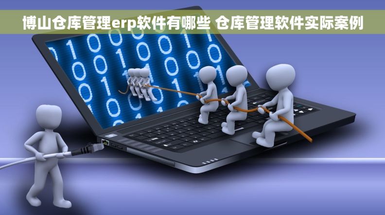 博山仓库管理erp软件有哪些 仓库管理软件实际案例