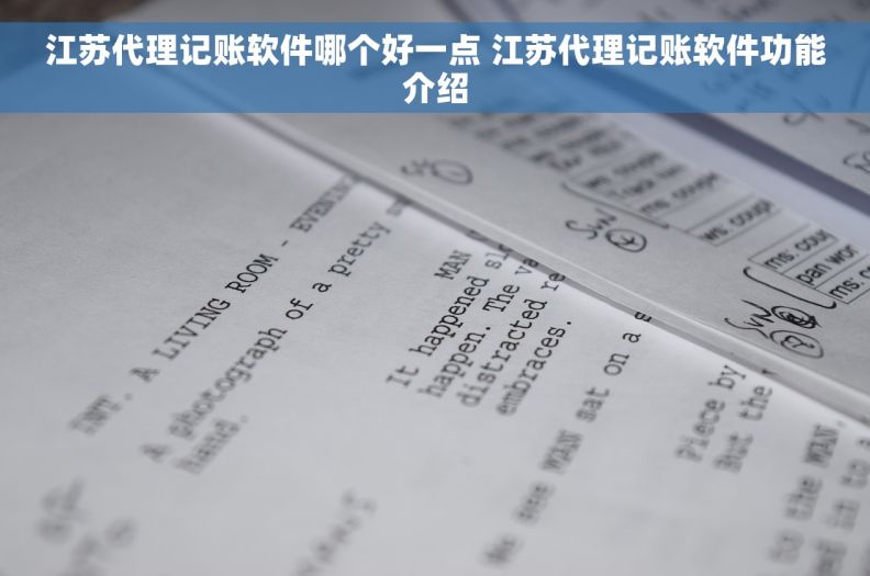 江苏代理记账软件哪个好一点 江苏代理记账软件功能介绍