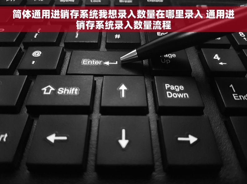 简体通用进销存系统我想录入数量在哪里录入 通用进销存系统录入数量流程