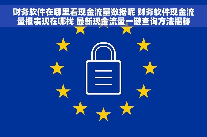 财务软件在哪里看现金流量数据呢 财务软件现金流量报表现在哪找 最新现金流量一键查询方法揭秘